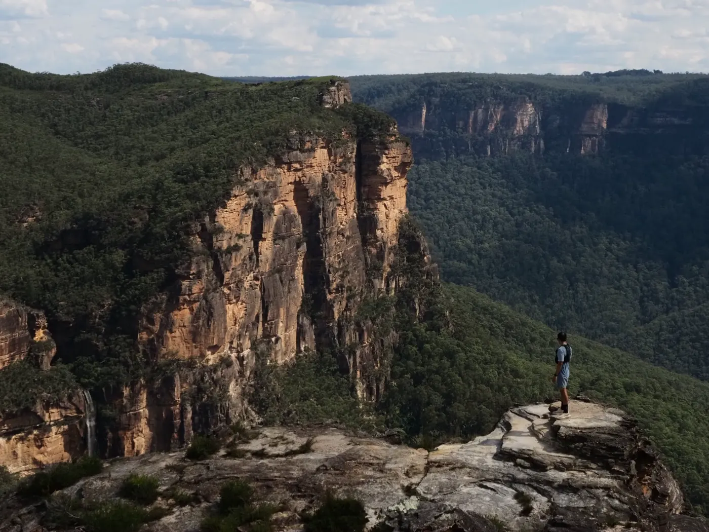 A hiker standing on a sandstone lookout above a forested Blue Mountains valley